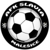 AFK Slavia Malešice
